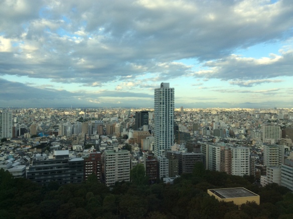 View from our room at Hyatt Regency Tokyo
