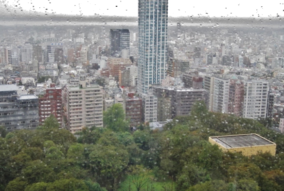 Day time view from our room, with Shinjuku Goen park.
